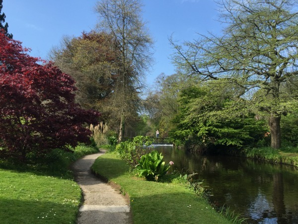 Mount usher gardens